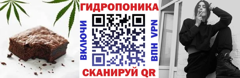 Canna-Cookies конопля  kraken сайт  Ногинск 
