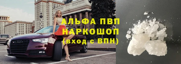 стафф Инсар